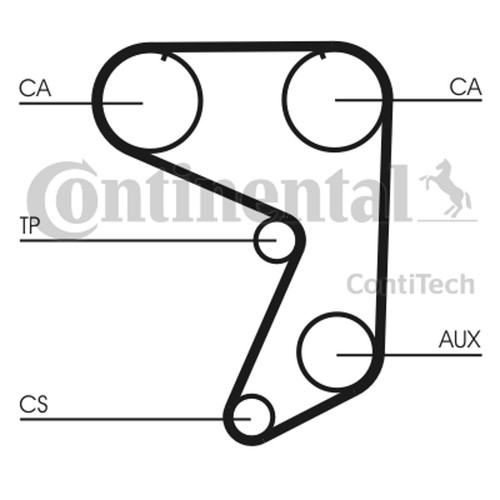 Cinghia distribuzione - cinghia,